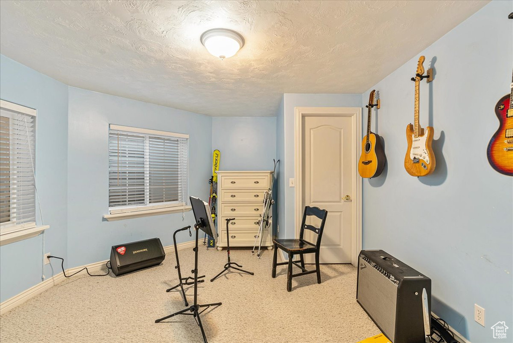 Interior space with carpet floors, baseboards, and a textured ceiling