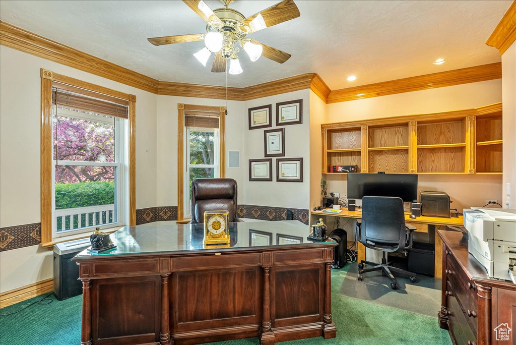 Office space with carpet flooring, ceiling fan, and ornamental molding