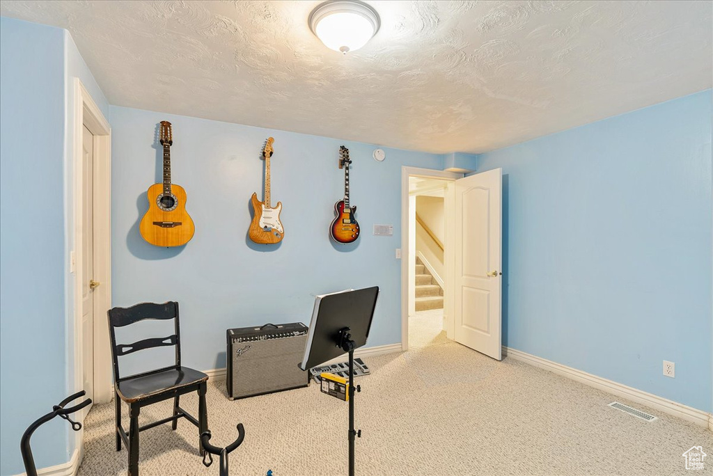 Interior space with a textured ceiling, baseboards, visible vents, and carpet