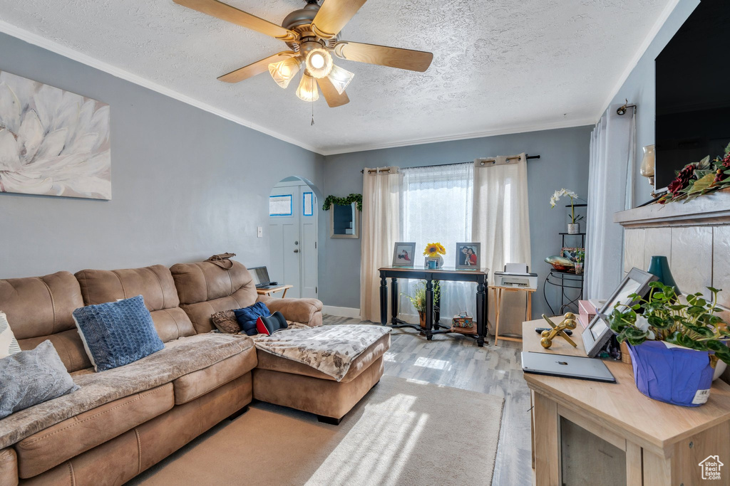 Living room featuring wood finished floors, a textured ceiling, ceiling fan, baseboards, and arched walkways