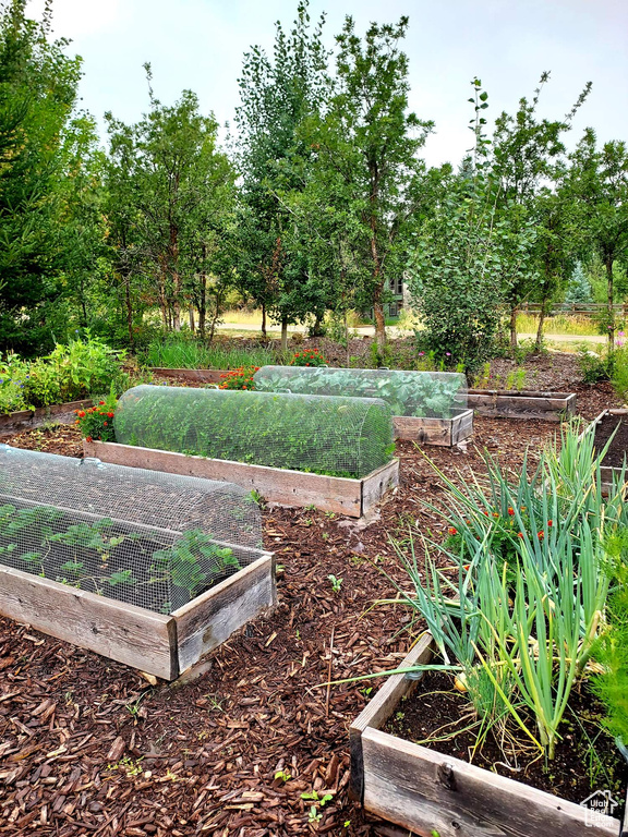 View of property's community featuring a garden