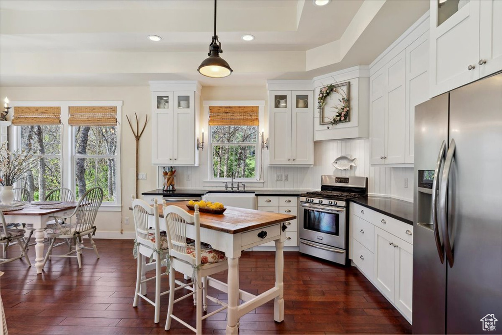 Kitchen featuring stainless steel appliances, a sink, recessed lighting, dark wood-style floors, and white cabinetry
