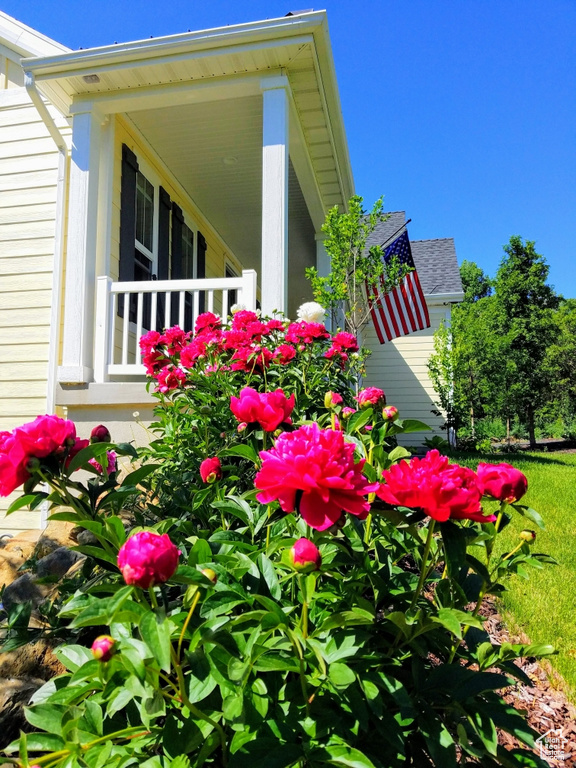 View of side of property with a shingled roof