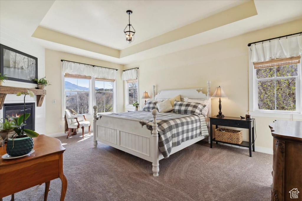 Bedroom with a tray ceiling, dark carpet, baseboards, a mountain view, and a glass covered fireplace