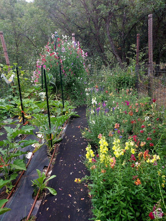 View of yard featuring a garden and fence