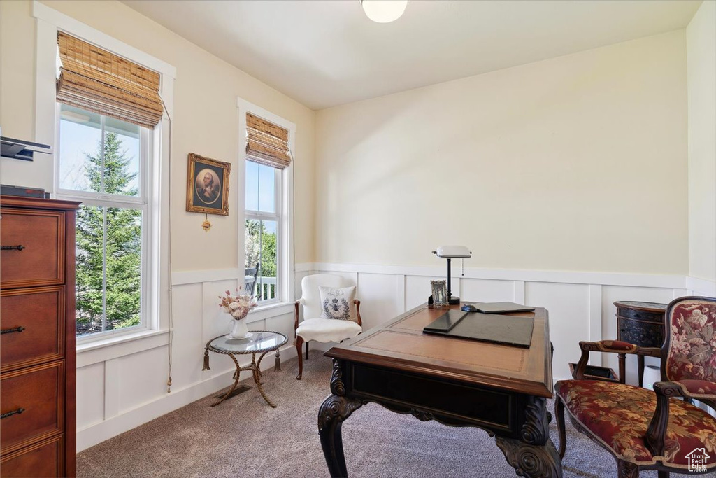 Office featuring carpet floors, wainscoting, plenty of natural light, and a decorative wall