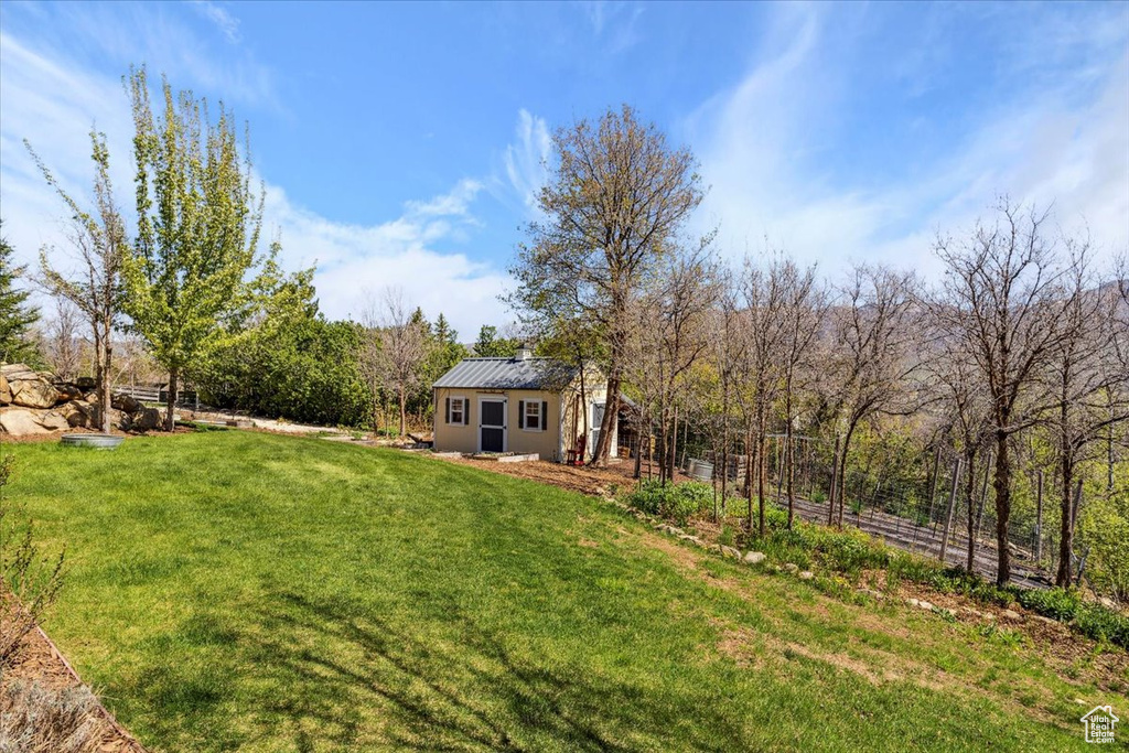 View of grassy yard