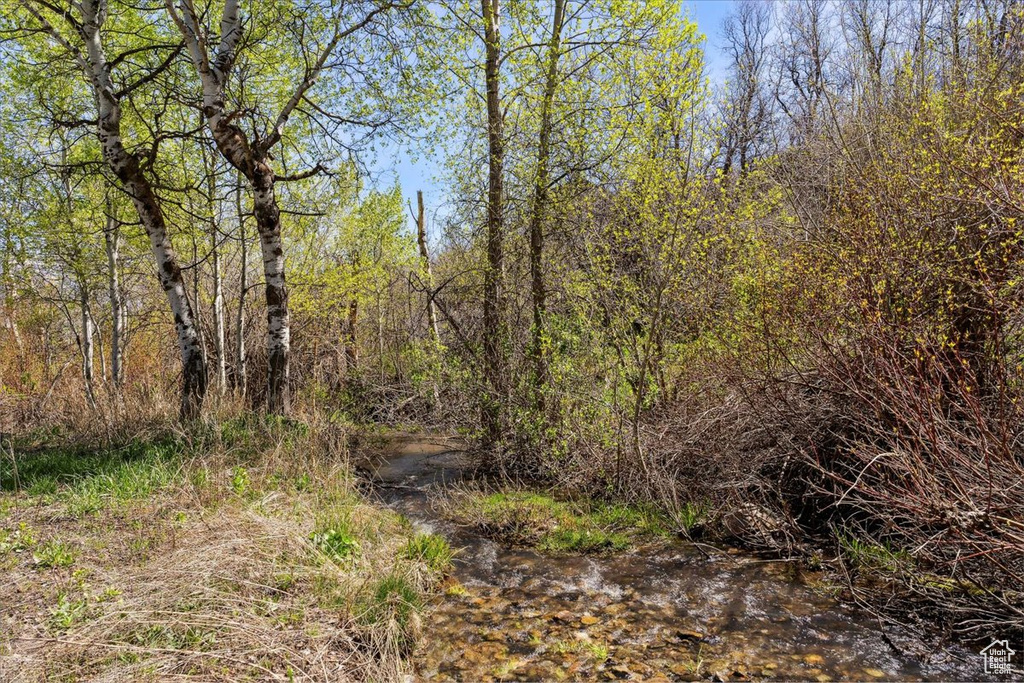 View of nature
