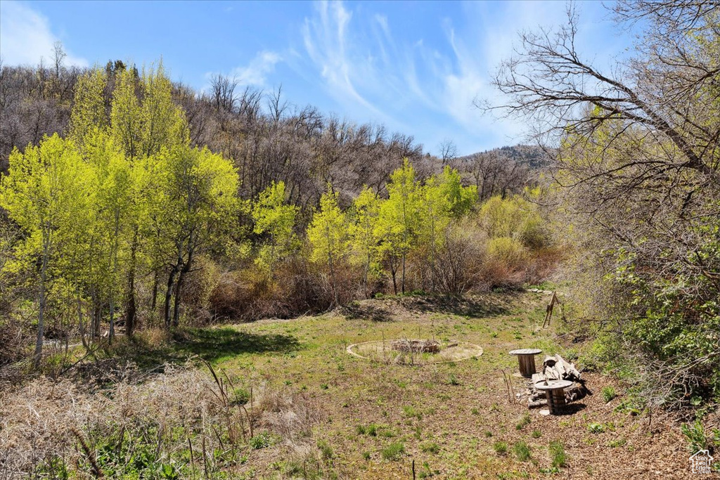 View of yard with a forest view