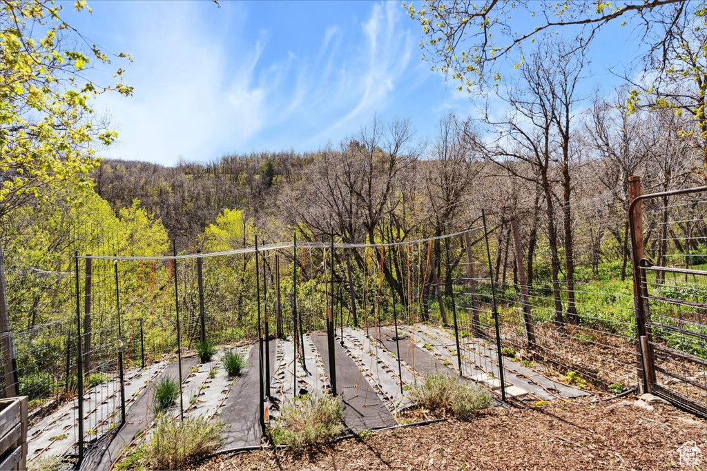 View of yard featuring a wooded view and fence
