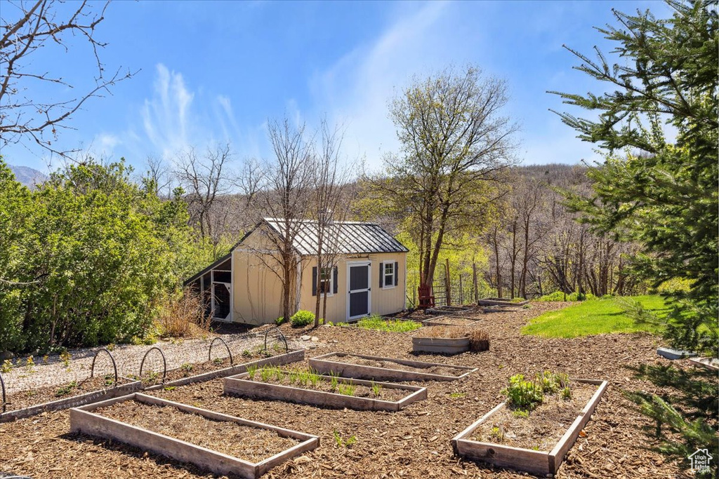 View of yard with a garden, an outbuilding, and a wooded view