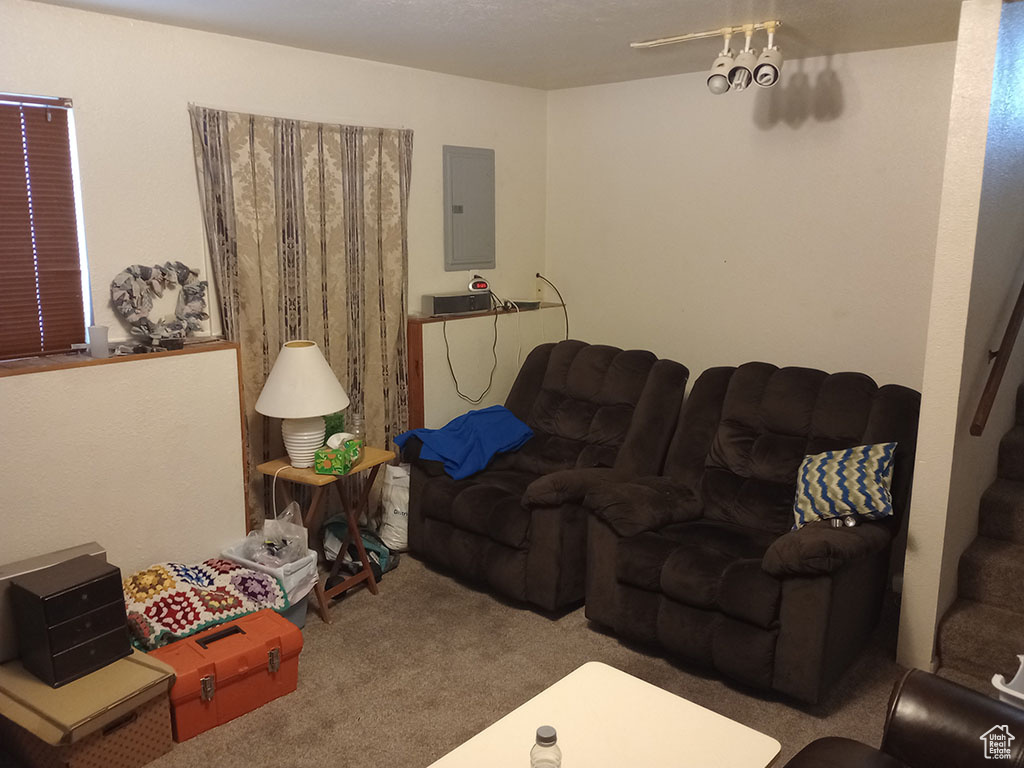 Living room with electric panel and carpet flooring