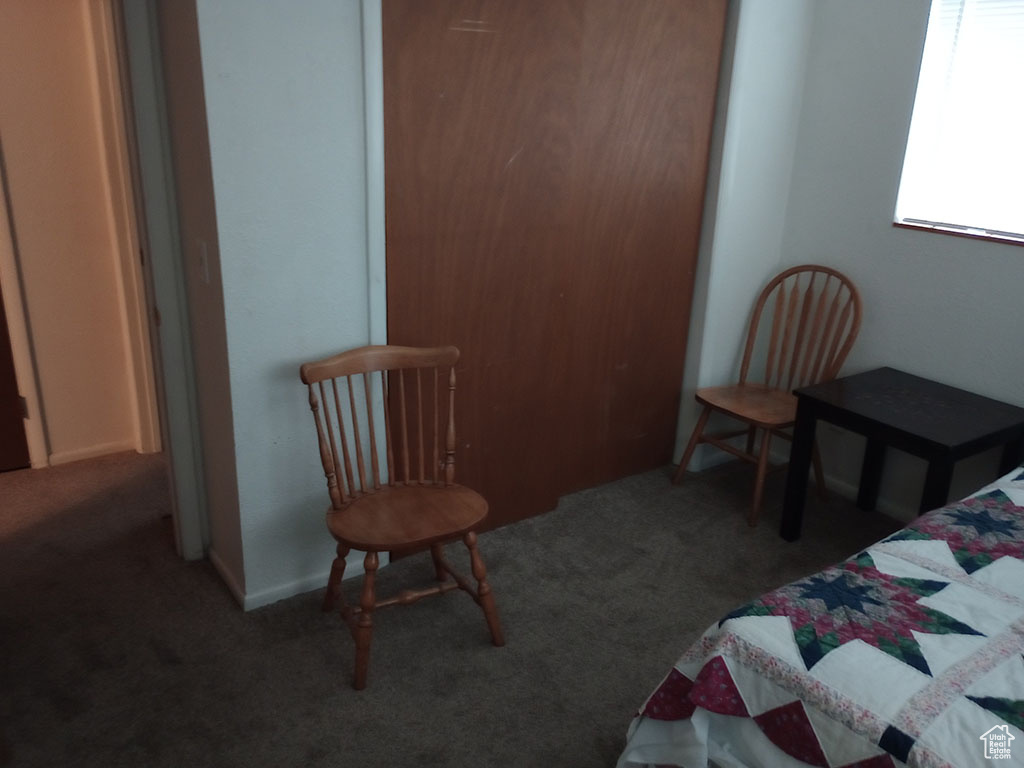 Bedroom featuring carpet