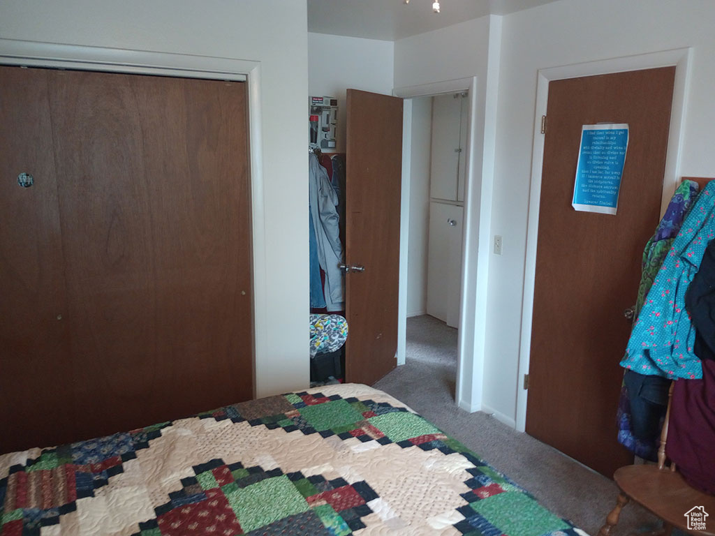 Carpeted bedroom featuring a closet