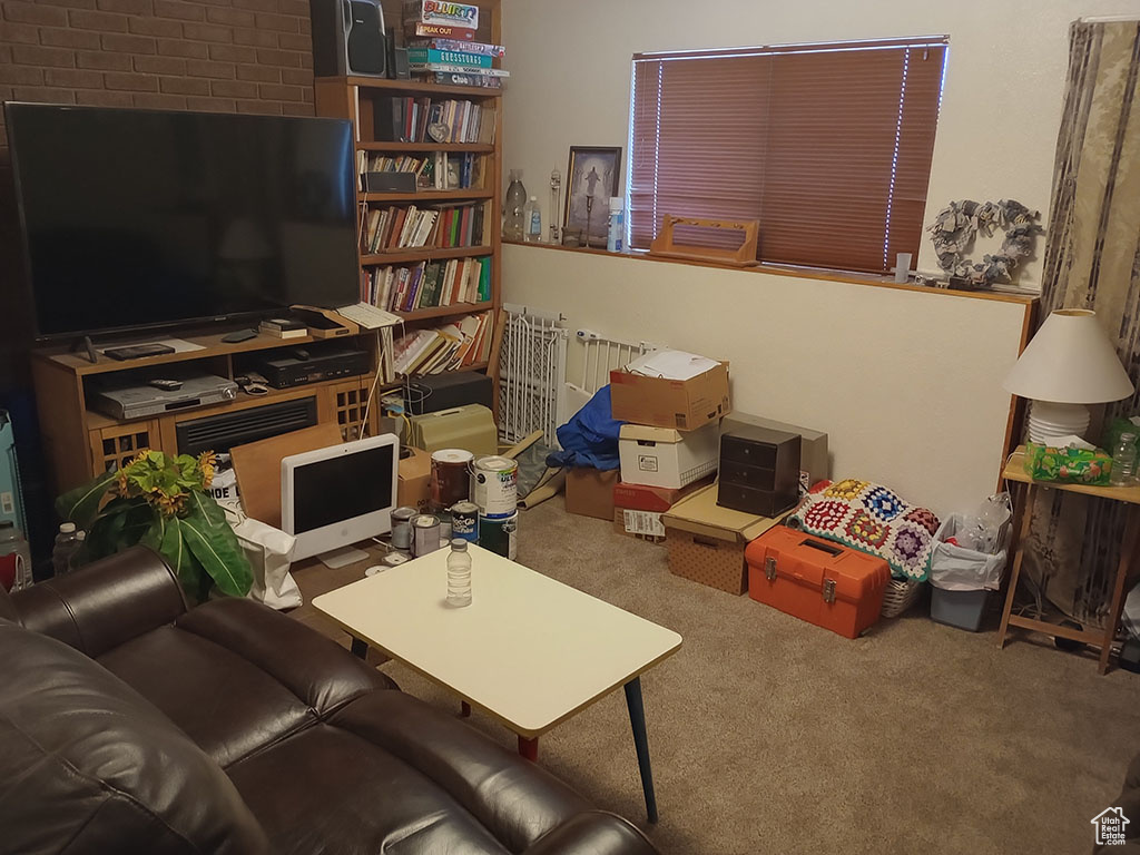 Living area with carpet