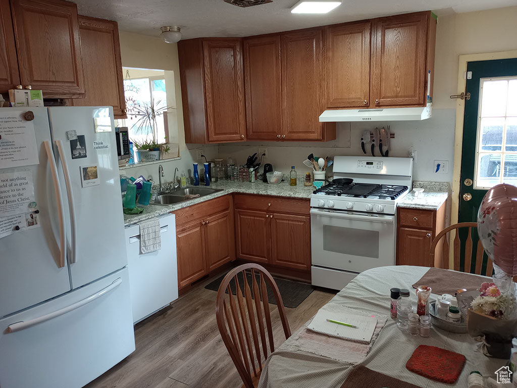 Kitchen with white appliances, under cabinet range hood, a sink, and healthy amount of natural light