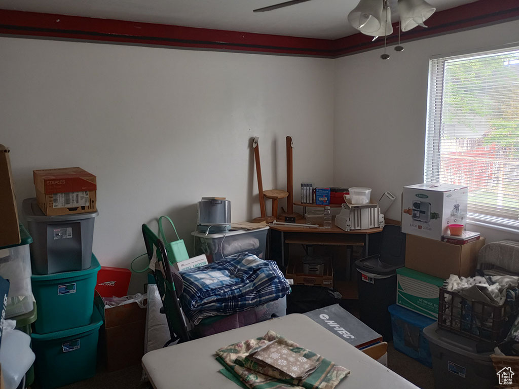 Storage featuring a ceiling fan
