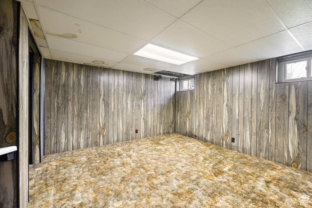 Below grade area featuring a paneled ceiling, wooden walls, and carpet floors