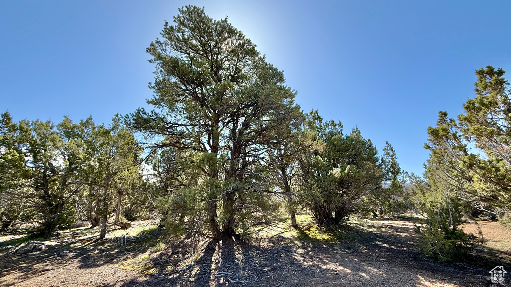 View of undeveloped land