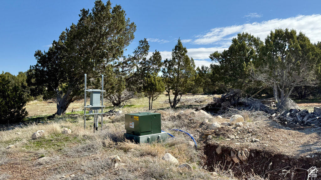 View of yard featuring view of wooded area
