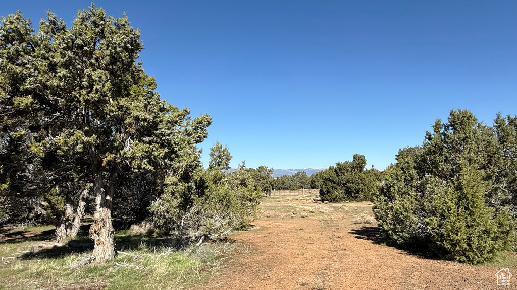 View of local wilderness with rural landscape