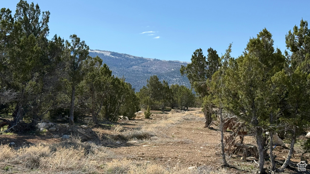 View of mountain background