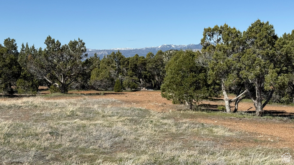 View of nature with mountains