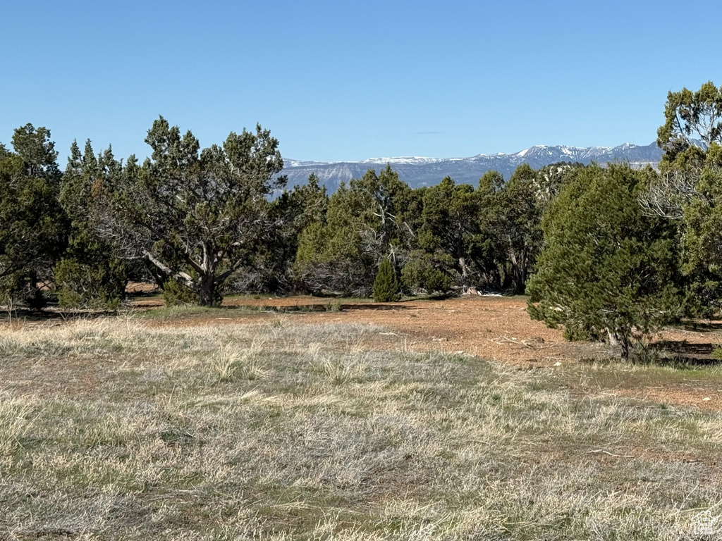  Spring City, UT 84662