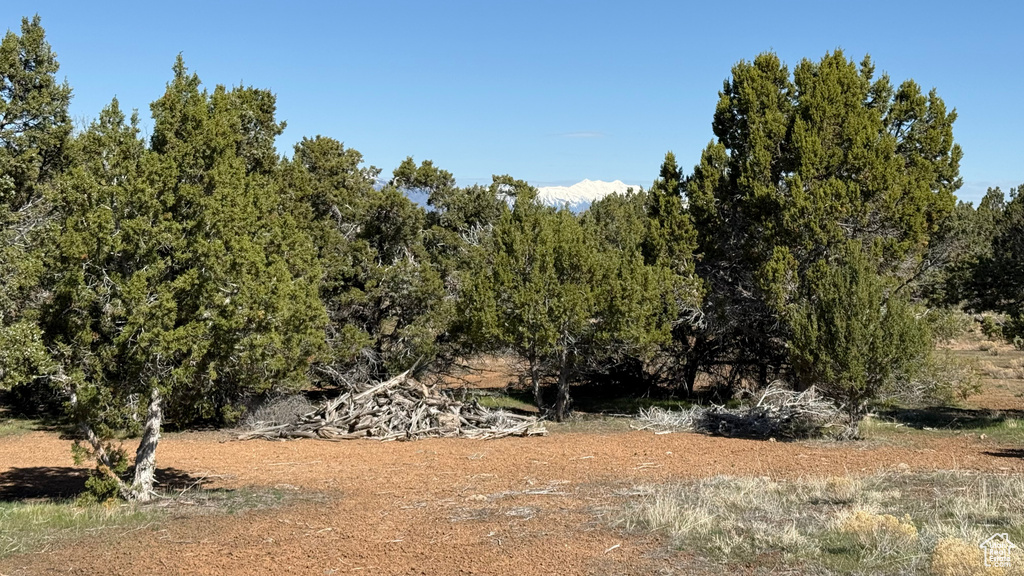 View of undeveloped land