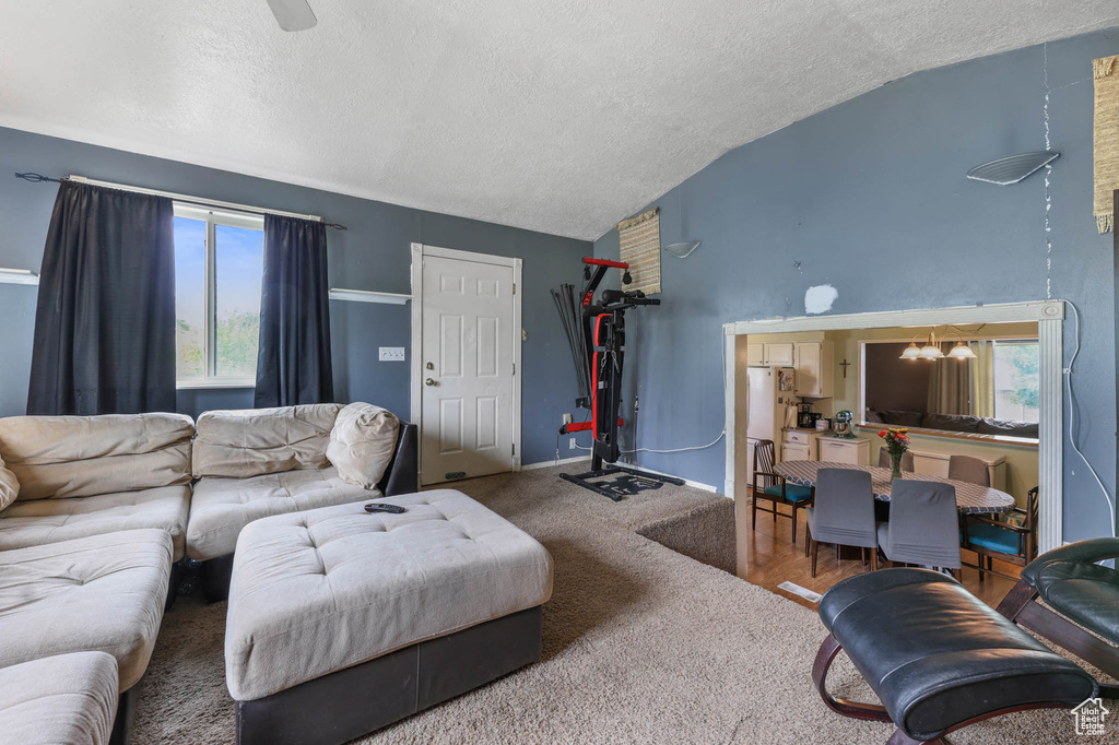Living area featuring lofted ceiling, a textured ceiling, plenty of natural light, carpet flooring, and baseboards