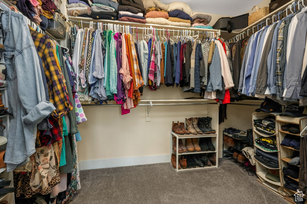 Walk in closet with carpet