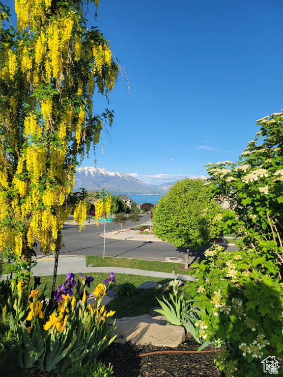 View of mountain background
