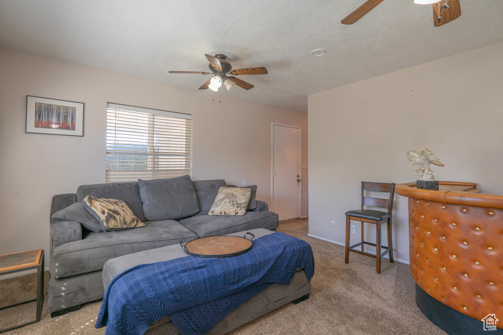 Living area with ceiling fan, carpet, baseboards, and a textured ceiling