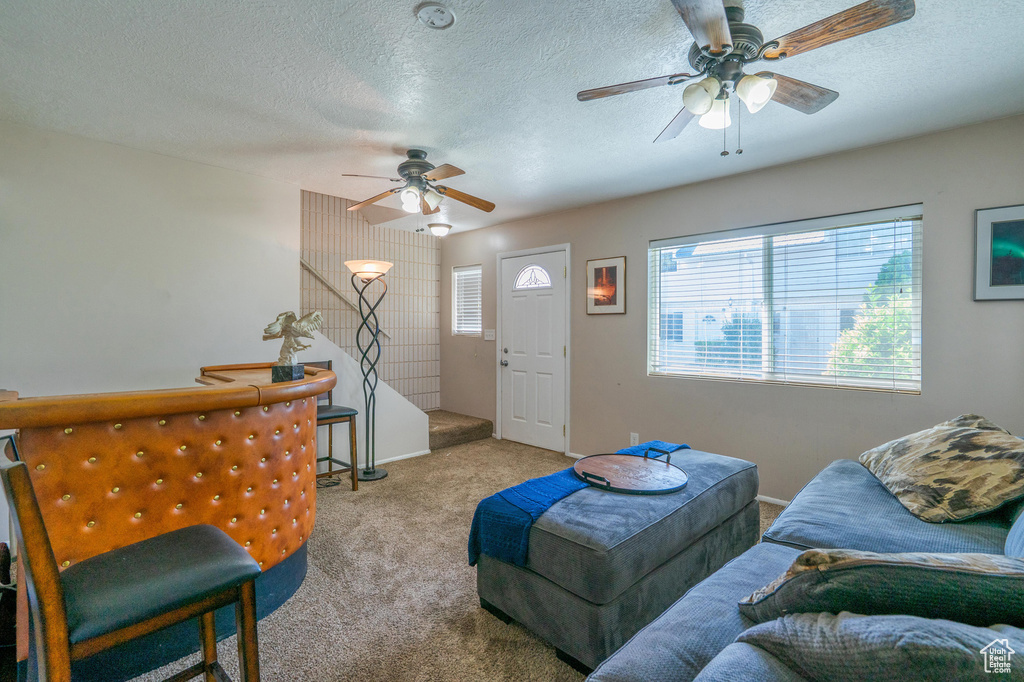 Carpeted living room with ceiling fan, healthy amount of natural light, and a textured ceiling