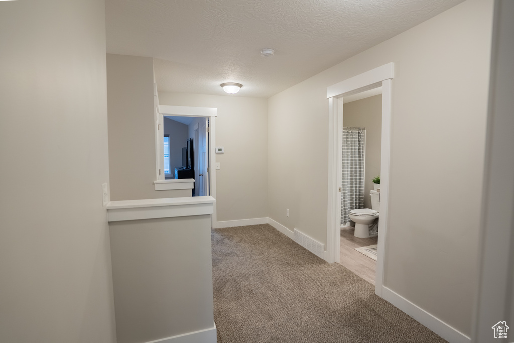 Corridor featuring carpet floors, baseboards, and a textured ceiling