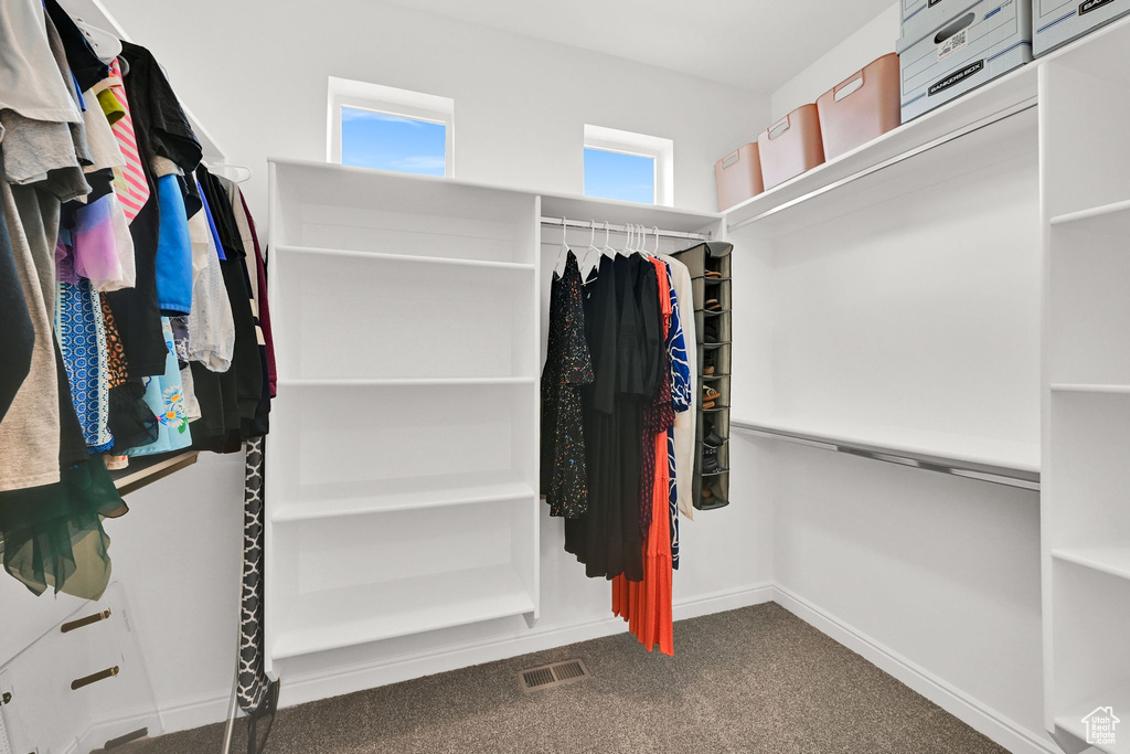 Spacious closet with dark colored carpet