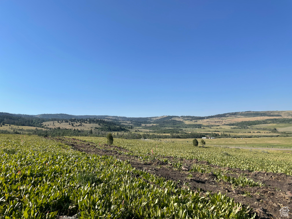 View of mountain backdrop featuring rural landscape