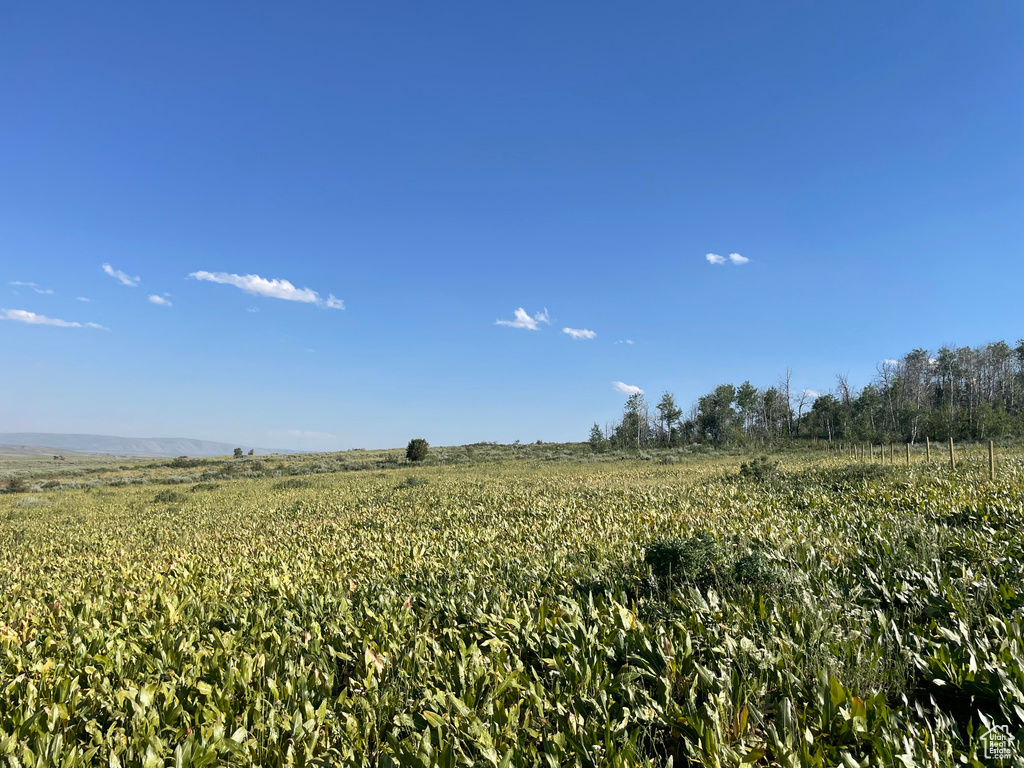 View of nature featuring rural landscape