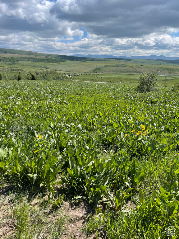 View of mountain background featuring rural landscape