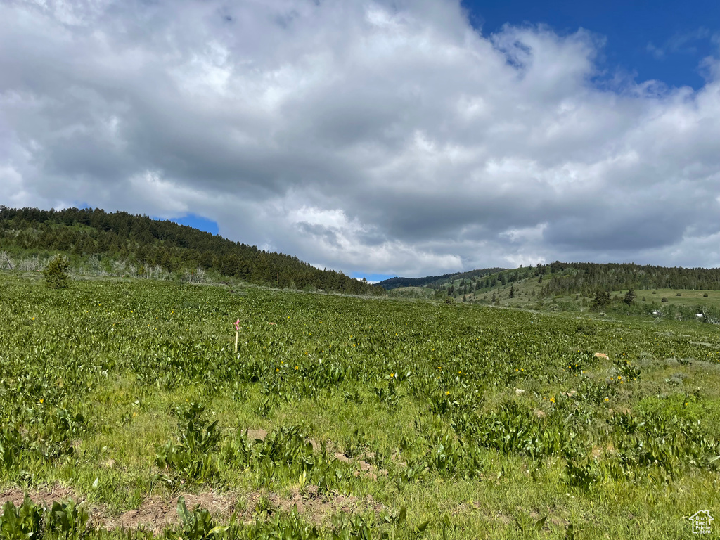 View of mountain background