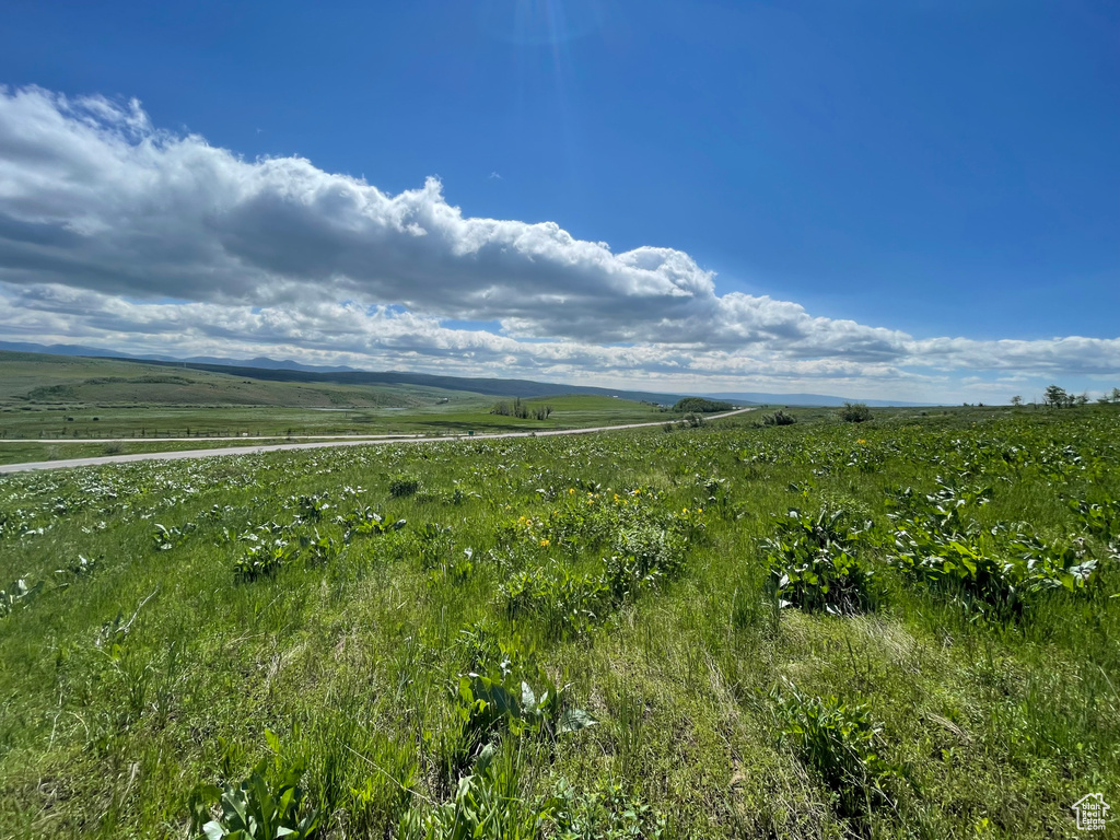 Overview of rural landscape