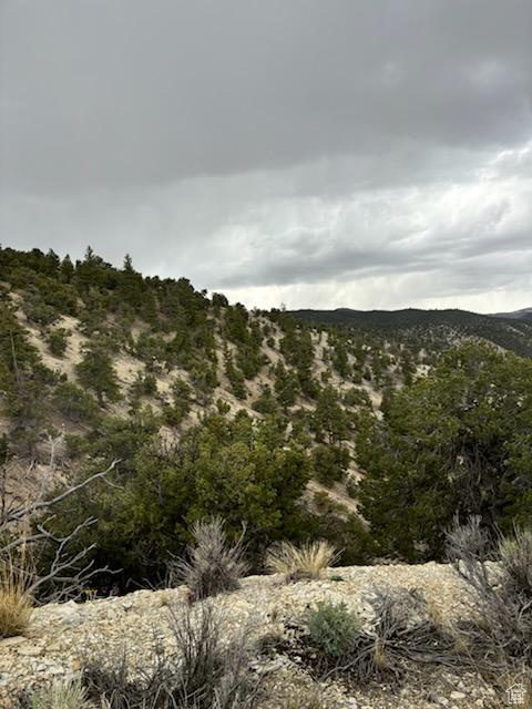 View of mountain backdrop