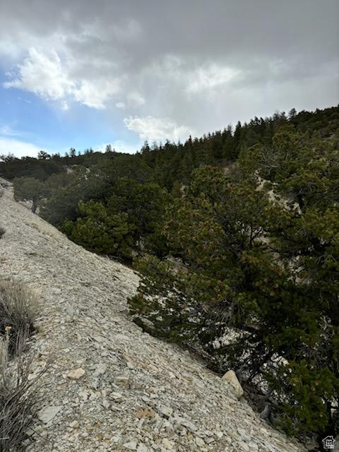 View of wooded area