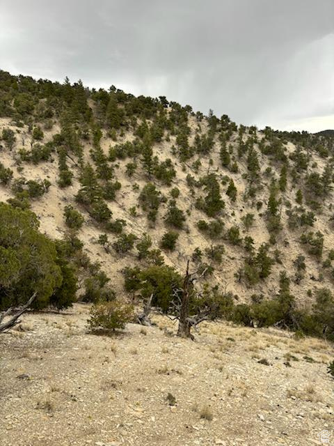 View of mountain backdrop