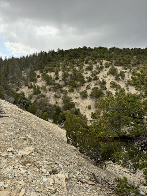 View of mountain backdrop featuring a forest