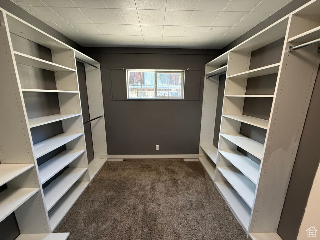 Spacious closet with dark carpet