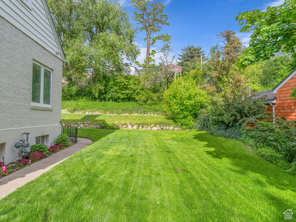 View of grassy yard