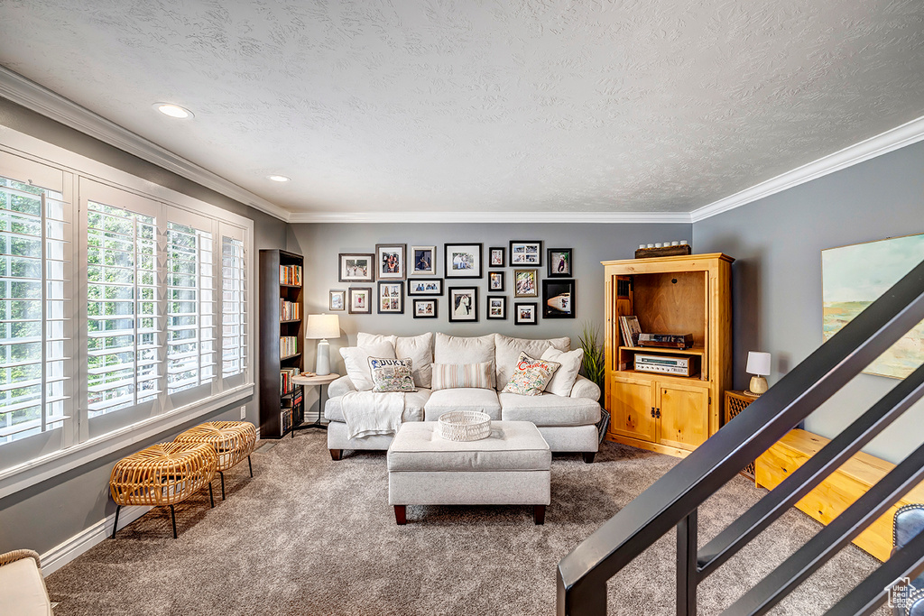 Living room featuring carpet, a textured ceiling, crown molding, baseboards, and recessed lighting