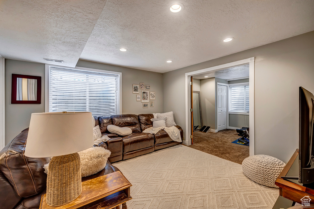 Carpeted living room featuring a textured ceiling, healthy amount of natural light, recessed lighting, and baseboards
