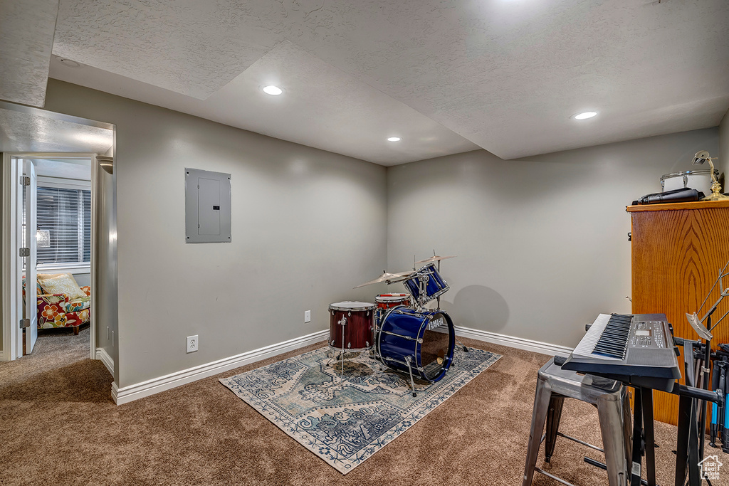 Recreation room with carpet, electric panel, a textured ceiling, baseboards, and recessed lighting